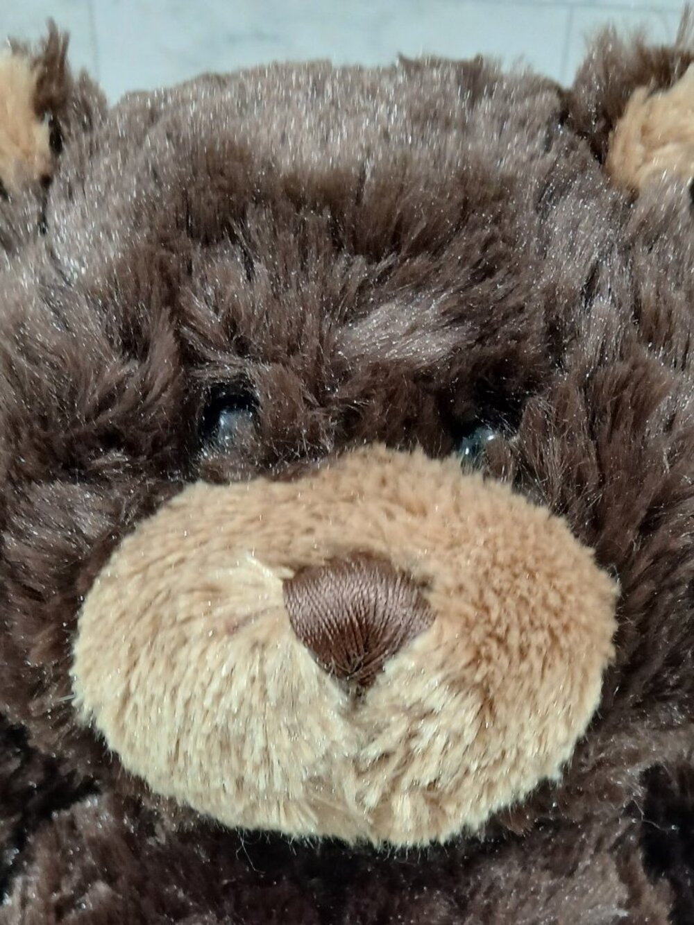 Ganz Soft Clean Brown Teddy Bear ,14 in. Not handled Just Displayed.